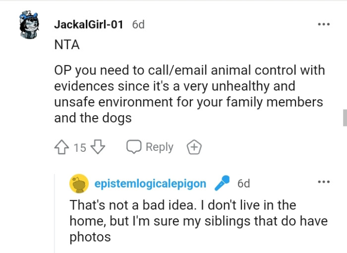 It's a very unhealthy and unsafe environment for the OP's family members and the dogs