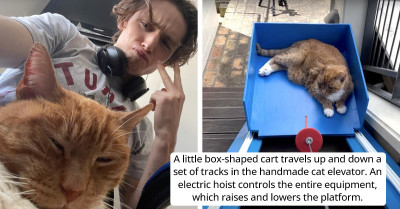 YouTuber Builds a Custom Home Elevator for His Beloved Geriatric Cat
