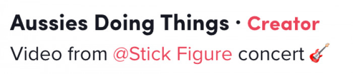 Cocoa is a chocolate Australian Shepherd and her video made waves