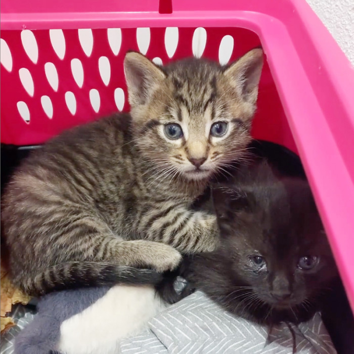 You Can See They Love Each Other