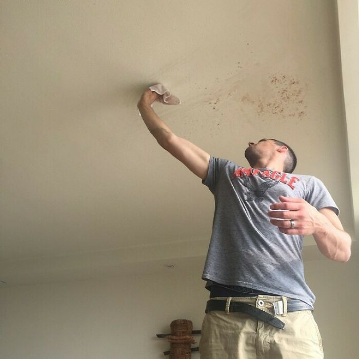 35. Yes that's my husband cleaning a protein shake off of the ceiling