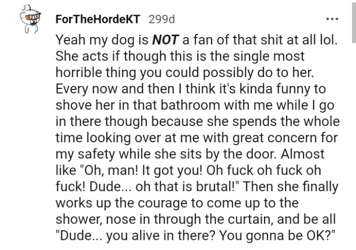 14. My Dog Feels This Is the Single Most Terrible Thing You Can Ever Do to Her