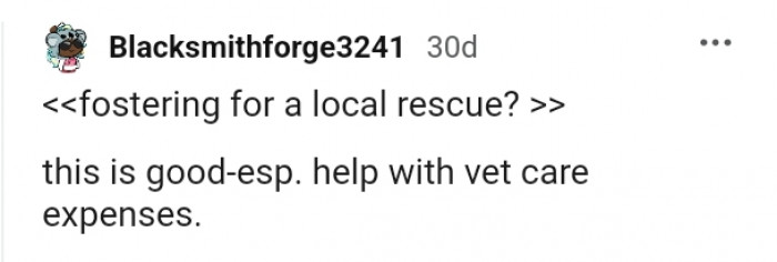 Fostering for a local rescue sounds like a good idea, according to this Redditor