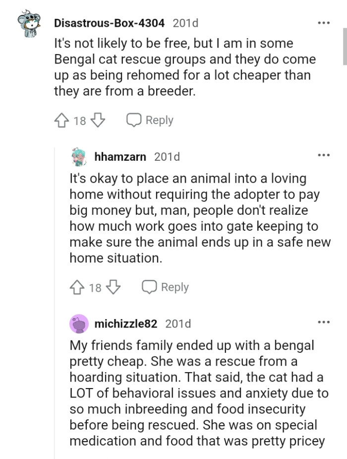 From a Redditor who is in some Bengal cat rescue groups, and they are much cheaper