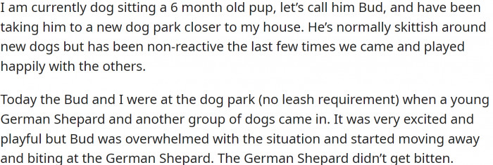OP is currently dog-sitting a six-month-old pup, Bud, and has been taking him to a new dog park closer to their house.