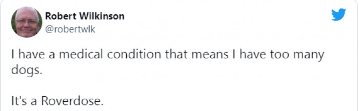 6. A cute quote I might just adopt