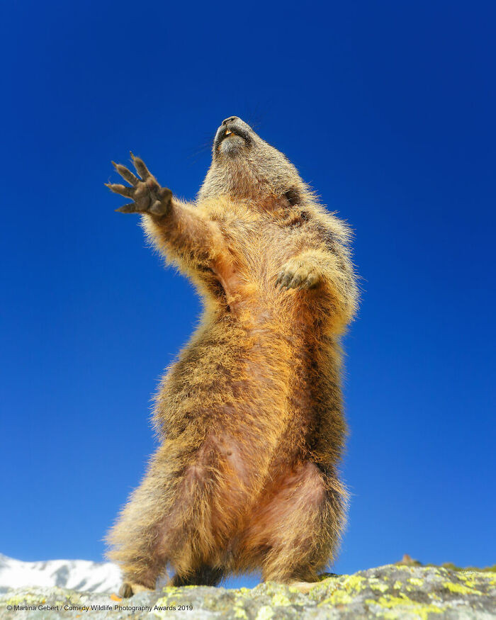Dancing... Yeah! By Martina Gebert