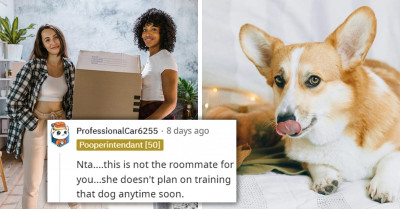 Redditor Lists Rules Regarding Their Friend's Dog Before They Move In Together