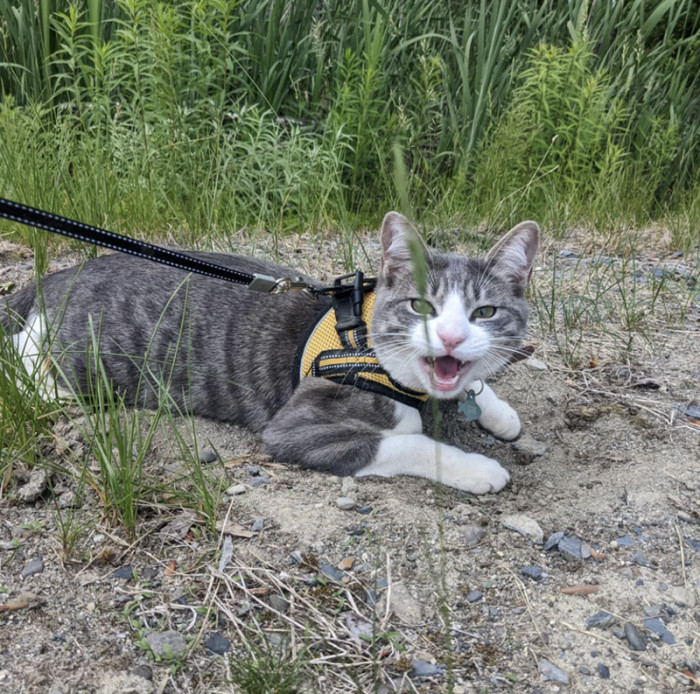 "When Dad tells me to stop playing in dirt"