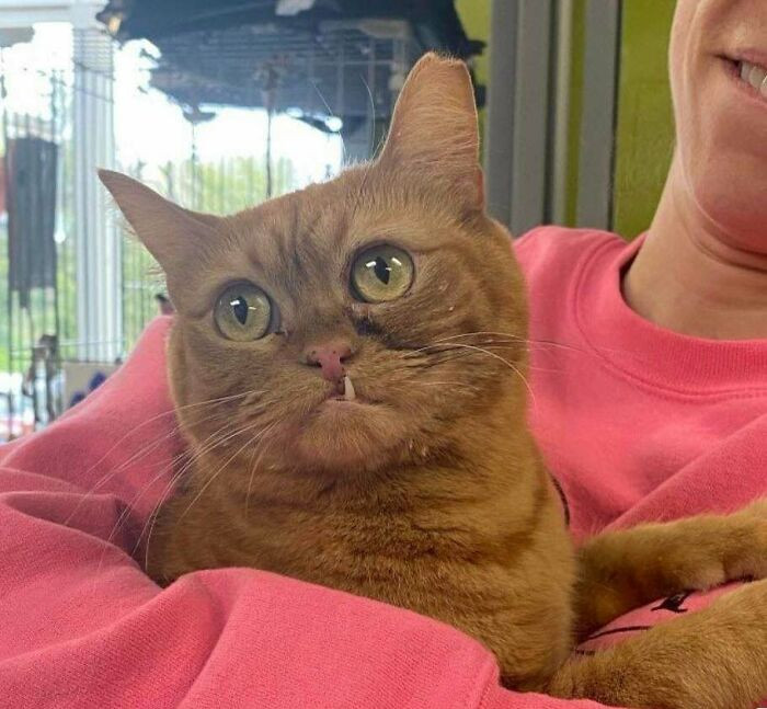 41. Everyone Needs To See Bittles