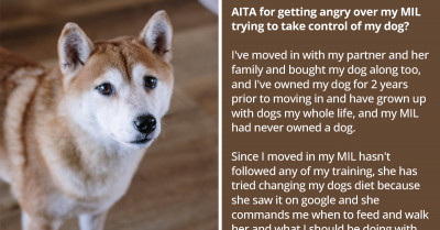 Redditor Asks If He's The A**hole For Not Wanting His MIL To Take Control Of His Dog