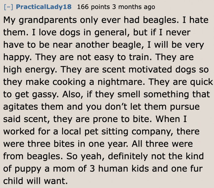 Some people are not too fond of beagles.