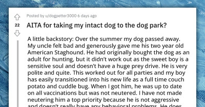 Redditor Contemplates Neutering Their Dog ASAP After Unpleasant Encounter At Dog Park