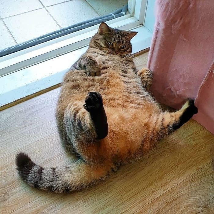 17. Where are my balls, Karen!?