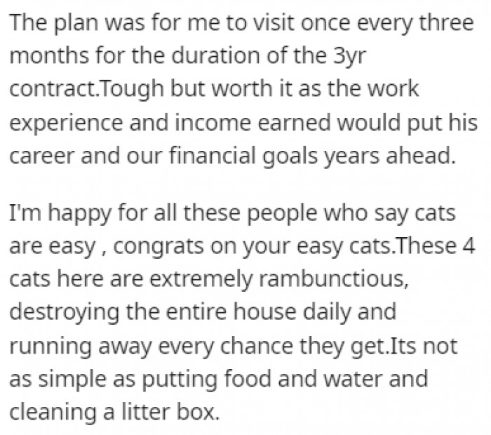 OP says that these 4 cats are wild and they destroy the entire house on a daily basis