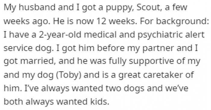 The new pup is the second dog in this family, which was one of the husband's arguments for why they should give away the new guy.