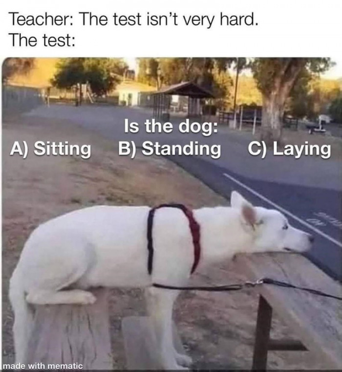 27. What answer are you going to pick?