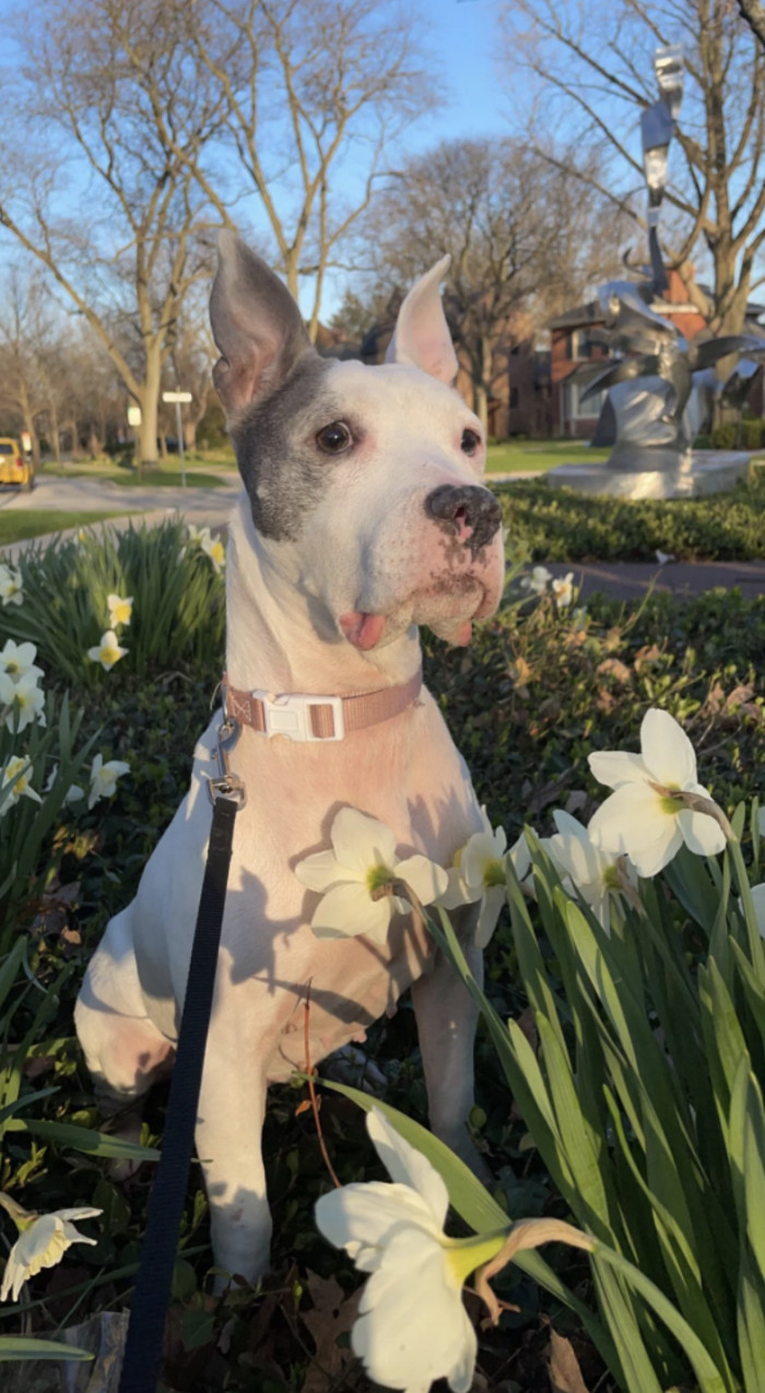 "Storm went from being shy and in constant pain to living her absolute best life."