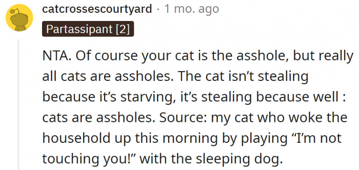 The OP is not, but the cat definitely is.