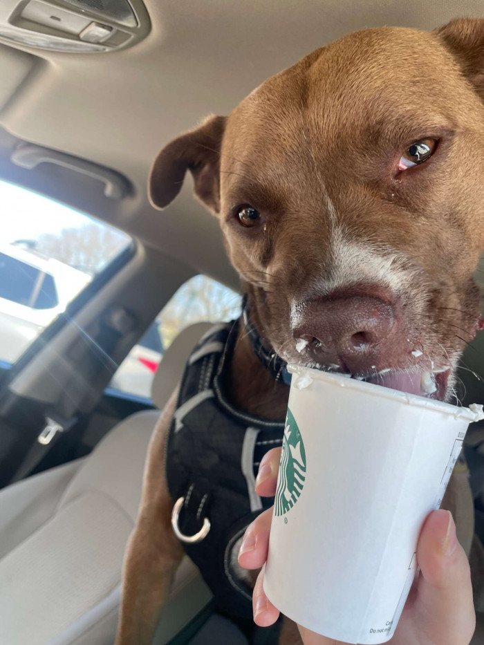 “He was already good friends with his new mom; she met him while volunteering with us and had spent lots of time hanging out with him,” Sanfilippo said.