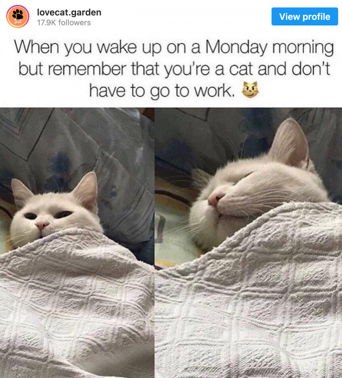 12. You need some beauty sleep before the party!