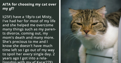 Defining Moment Redditor Chose Her Elderly Cat Over Her Allergic Girlfriend, Gets Massive Support Online
