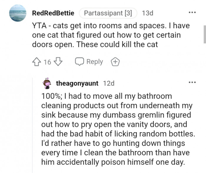 Cats can figure out how to get certain doors open