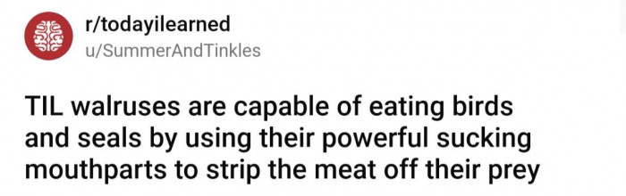 That's a combination of words I *never* expected to read