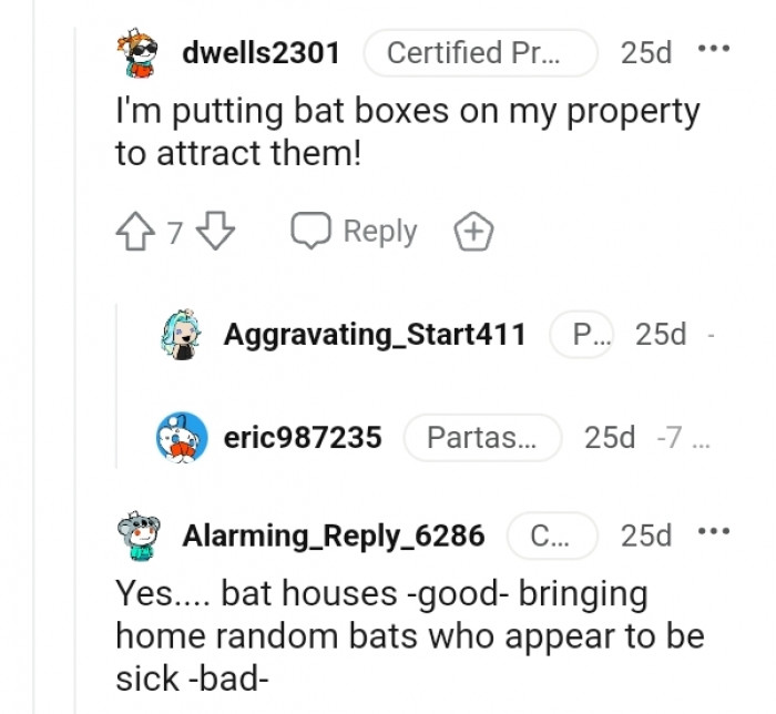 This Redditor is setting up bat houses
