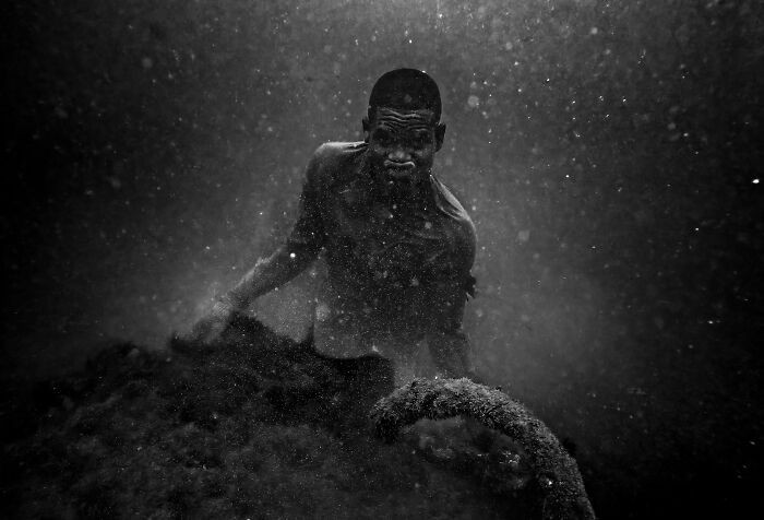 “From The Bottom Of The Ocean” By João Coelho