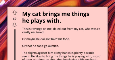 Owner Shares Silly Revenge His Cat Took On Him, Admits Total Defeat Against Feline