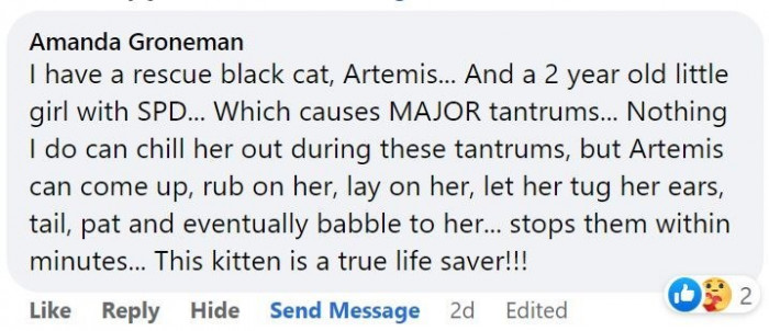 8. The kitty's only comfort is Artemis.