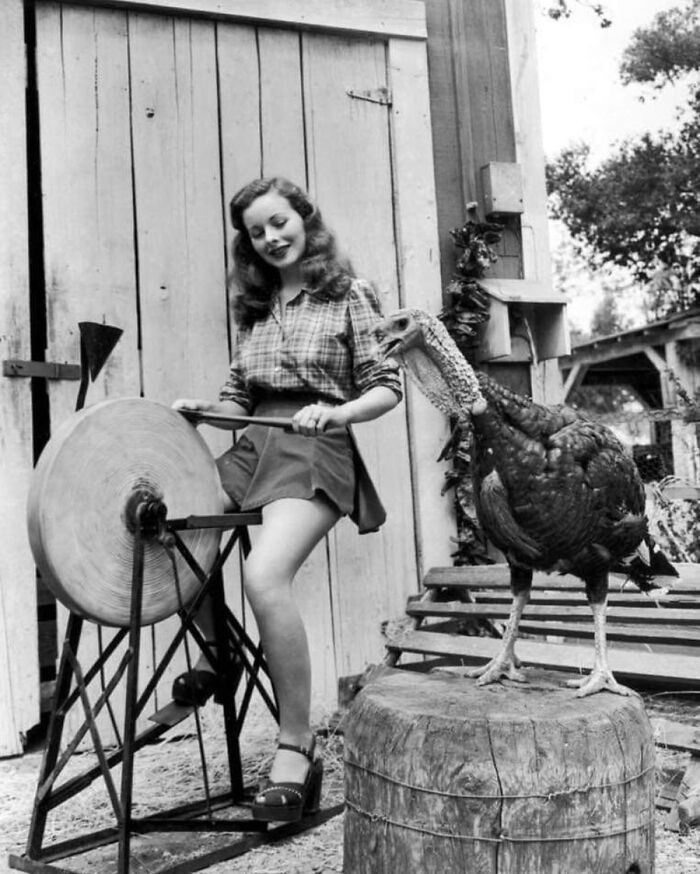 "Thanksgiving, 1940."