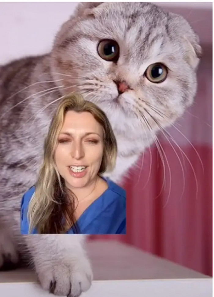 They suffer from numerous health issues