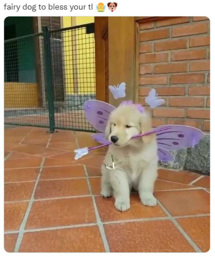 13. "Make a wish, and I will make it come true."