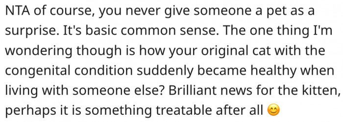 9. It's wrong to surprise someone with a pet.