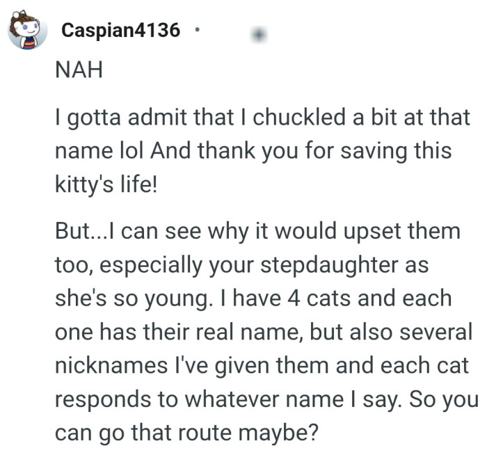 This Redditor has four cats and each one has a real name