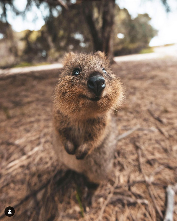 Looking like a friend that's about to be your buddy for a great adventure