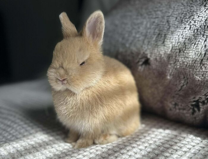 7. "My Sister Brought This Guy Home"