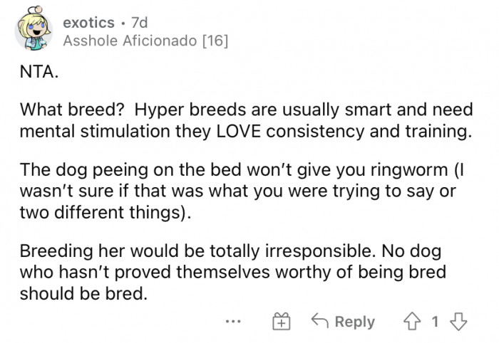 "Hyper breeds are usually smart and need mental stimulation."