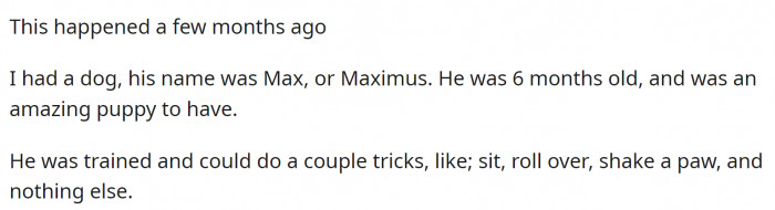They had a dog, Max. The 6-month-old puppy was amazing, and they loved it very much.