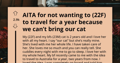 Relationship Faces Breakup As Lady Refuses To Travel With BF Without Her Cat