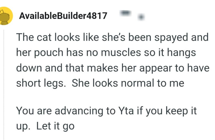 The cat looks normal to this Redditor