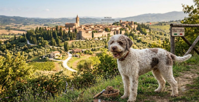 Italian Dog Names With Meanings