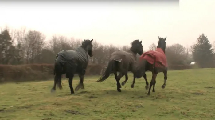 While Harry and William lived together in Firle, East Sussex, Arthur was living his high-class life, far away