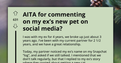Person Congratulates Their Ex On Getting A New Cat, And Now Their Partner Thinks They're Cheating