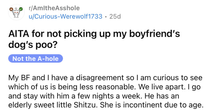 The OP posted about how she's having a debate with her boyfriend about taking responsibility for his dog.