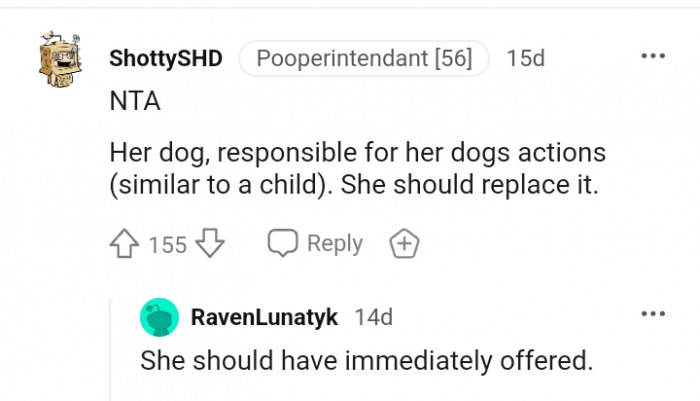 She should have immediately offered to make a replacement