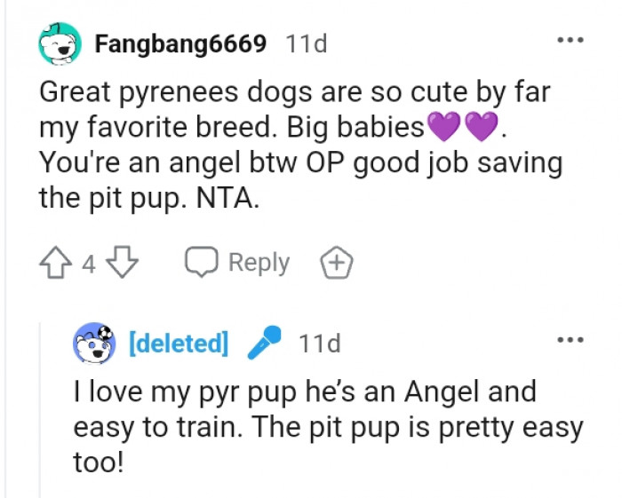 Great Pyrenees digs are big babies