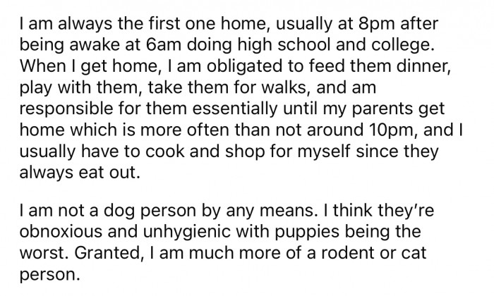OP is not a dog person and doesn't enjoy taking care of the family dog.